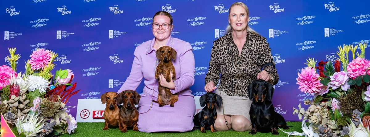 LONGNLOW DACHSHUNDS PERTH